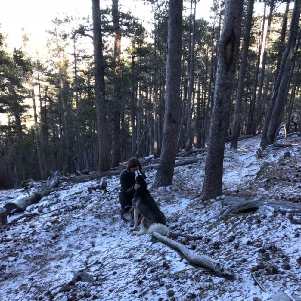 Meet your Posher, Kelly